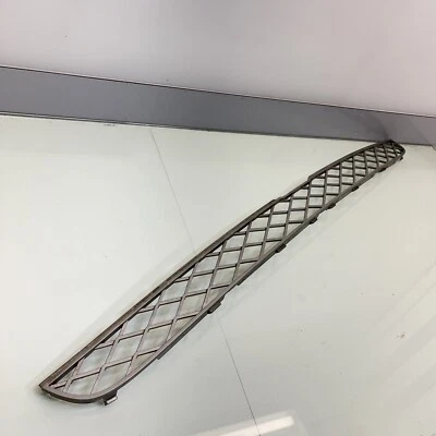 BMW X5 2007-2013 - Parrilla de parachoques central superior delantera 7159597 OEM plateada Foto 1 de 4