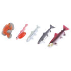 Spielzeug 4Pcs Lachs Zyklus Figuren Pädagogisches Fisch Biologie Modell