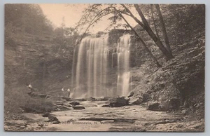 Upper Delphi Falls Cazenovia NY c1920 Albertype Postcard Unposted - Picture 1 of 2