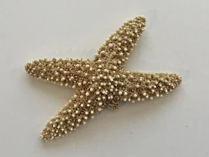 Rare Genuine Starfish with Arm Bud Unique Collect Crafts Nautical Beach Decor - Picture 1 of 1