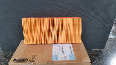 Filtro de aire para motocicleta BMW - K1600GT/GTL/excavadora (TODOS) - 13717712317 Foto 1 de 2