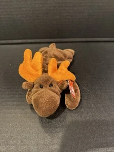 TY Tags RARE Chocolate the Moose ORIGINAL Beanie Baby 1993 P.E. Pellets RETIRED - Picture 1 of 2