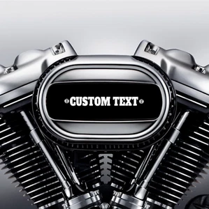 TEXTO PERSONALIZADO Ventilador Harley M8 inserto limpiador de aire. Reemplaza el inserto de stock. EE. UU. - Imagen 1 de 8