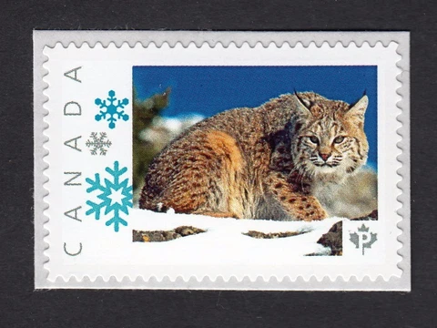 lq. LYNX on snow =  cat = Picture Postage MNH stamp Canada 2016 [p16/01-2lx4/1] Cover