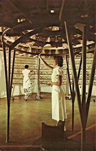 Oak Ridge TN Irradiation Facility Biology Division Postcard - Foto 1 di 2