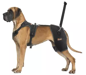XXL chamin rissury DOG HIP BRACE SUPPORT Hip Dysplasia Arthritis Back Leg Limp - Picture 1 of 15