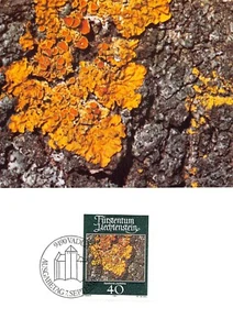 Maximum Card FDC LIECHTENSTEIN Mosses & Lichens September 1981 MK 25 N4 - Picture 1 of 2