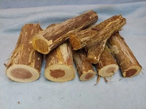 7 Pc Lot Of Cedar Short Rounds~ Longest 7" x1.5", Shortest 4.5" x 2"  - Picture 1 of 9
