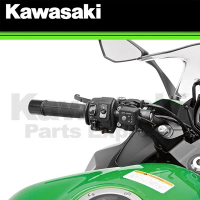 NUEVO 2017-2018 GENUINO KAWASAKI NINJA 1000 AGARRE JUEGO DE CALEFACCIÓN 99994-0863 Foto 1 de 2