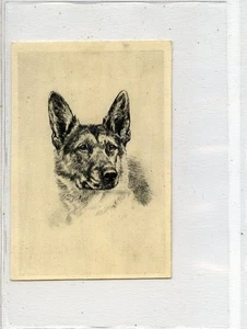 (Gd5526) Lambert & Butler, Overseas, Etchings of Dogs, Large #23, 1928 EX - Picture 1 of 4