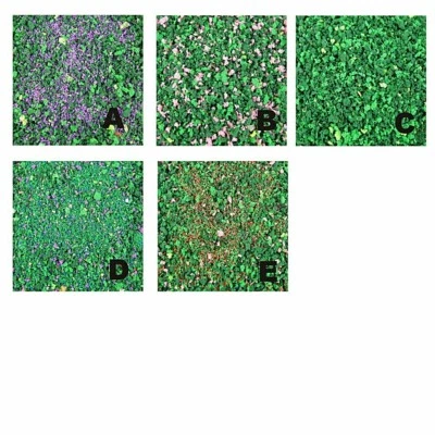 Model Grass Sprinkles Ideal for professional model makers, architects, model  - Image 1 of 2