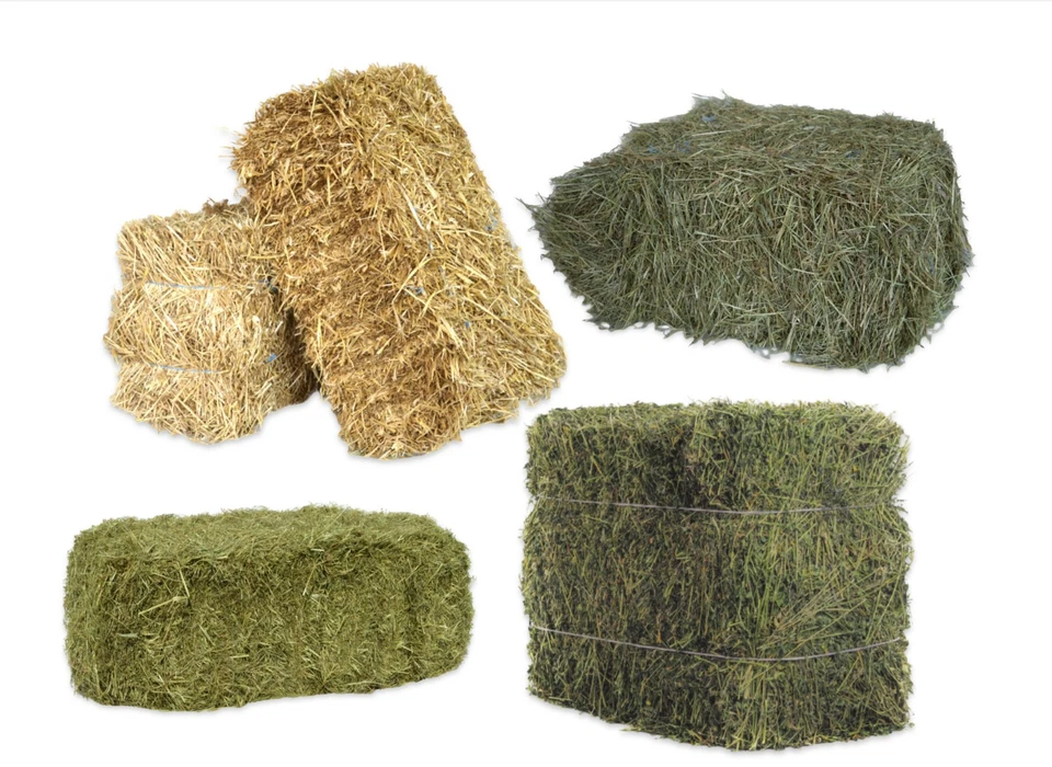 agrar-Store Heu + Stroh 1-20Kg Auswahl Heuballen 1+2Schnitt Strohballen Grummet  - Bild 1 von 1