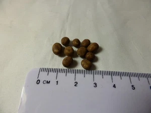 1:12 Scale 10 Dirty Potatoes Doll house Miniatures, Garden , Kitchen - Picture 1 of 1