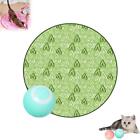 2 in 1 Simulated Interactive Hunting Cat Toy Hiding Cover Exercise Creative Fun