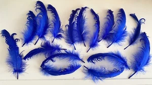 Bundle 16pcs Royal Blue Curly Goose Feathers Ideal for Crafts, Costume Millinery - Picture 1 of 7