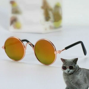 Occhiali da sole punk divertenti gatto piccolo mini occhiali cane animali gattino posa costume - Foto 1 di 19