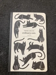 There Are No Ordinary Cats - Tagebuch - Bild 1 von 13