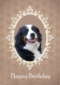 BERNESE MOUNTAIN DOG  BIRTHDAY GREETINGS NOTE CARD 
