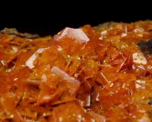 WULFENITE lustrous orange crystals -- CHINA - Kuruktag Mountains /pj816 - Picture 1 of 12
