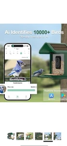 Alimentatore per uccelli con telecamera a energia solare: Smart Camera Bird Feeder 2K Live Feeder - Foto 1 di 4