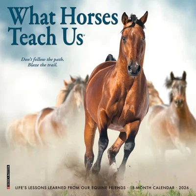 Willow Creek Press, What Horses Teach Us 2026 Mini Wall Calendar, 7'' X 7'', 18
