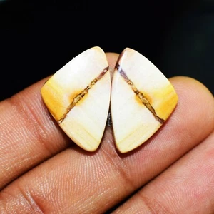 21 Carat Pair Fancy Shape Natural Zebra Jasper Loose Gemstone Cabochon - Picture 1 of 3