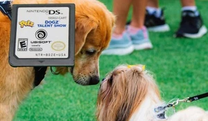 Petz: Dogz Talent Show - Nintendo DS - Game Only - Picture 1 of 3