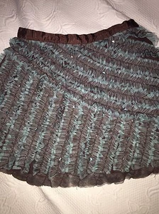 Beautiful Biscotti Girls Sz. 5 Lined Skirt. Pretty, Sparkly & Fun. Great Shape - Picture 1 of 8