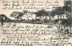 AK German Southwest Africa DSWA Omaruru River Karibib 1904 - Picture 1 of 2