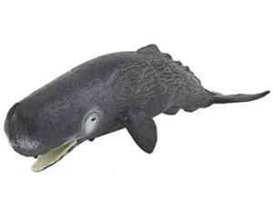 SPERM WHALE plastic Animal Sea Toy Figure Model Figurine Fish Bath Model New - Picture 1 of 9