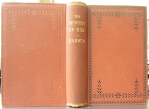 Charles Darwin The Descent of Man &Selection in Relation to Sex VG 1886 Appleton - Picture 1 of 6
