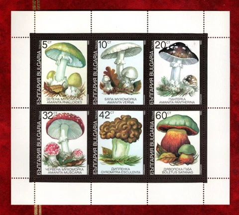 Bulgaria sc#3602a Souvenir Sheet (1991) MNH Cover