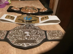 WWE 2010 Jakks WORLD HEAVYWEIGHT Wrestling Championship Toy Belt Youth Lot - Picture 1 of 6