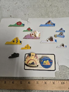 lotto di 13 spille leonessa leonessa, virginia, 1994 1995 2000 - Foto 1 di 5