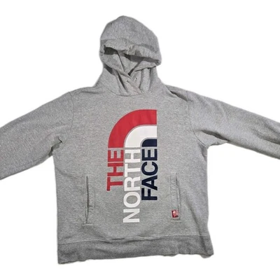 Sudadera con capucha gris grande The North Face RU/14 para hombre  Foto 1 de 4