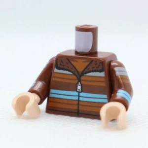 TORSO -Jacket Multicolor Stripes Arms (Ron Weasley) LEGO® Minifigure Part - Picture 1 of 2