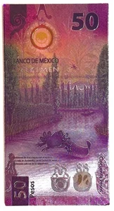 Mexico ajolote axolotl refrigerator magnet - iman billete 50 pesos, NOT CURRENCY - Picture 1 of 3