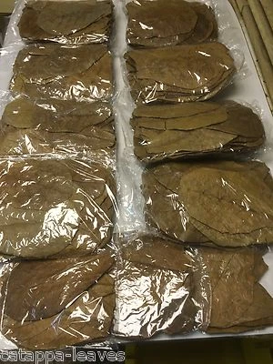 400 Seemandelbaumblätter ~20cm Terminalia Catappa Leaves Futter Garnelen Welse  - Bild 1 von 3