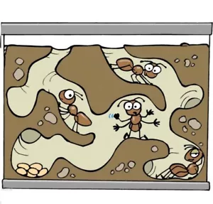 Ants FOOD Gel Ant Farm Edible Insect Refill Pack, FREE UK Delivery - Foto 1 di 3
