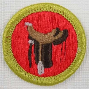 Horsemanship Current Plastic Back Merit Badge [MB-132] - Picture 1 of 1