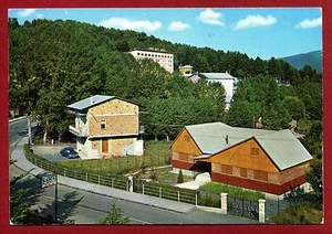 CARTOLINA-CALABRIA - COSENZA - SILA - LORICA VEDUTA - Picture 1 of 1