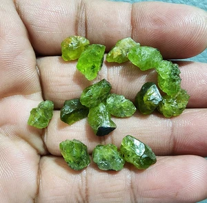 10-12 MM Raw Size Green Peridot 15 Pcs Crystal & Mineral Jewelry Making Stones - Picture 1 of 7