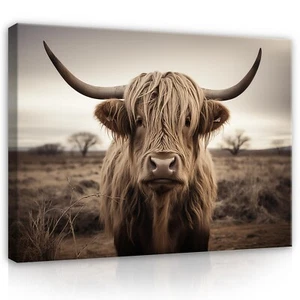 Leinwand Bilder Schottisches Hochlandrind Wohnzimmer Leinwandbild Wandbilder XXL - Bild 1 von 7