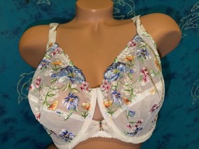 Lise Charmel BCH6139 Baisers Legers Bleus White Rainbow Flowers Full Cup Bra 38F