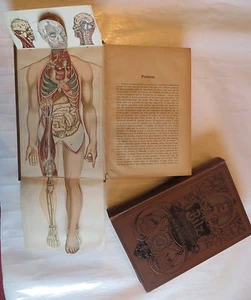 BILZ – Nouvelle méthode pour guérir les maladies – 2 tomes - très solides - 2080 - Foto 1 di 1