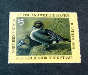 US Junior Duck Stamps Scott# JDS8 Pintails 2000 MNH L493 - Picture 1 of 2