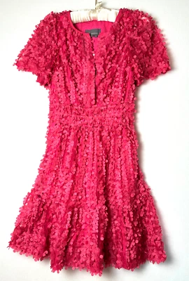 Mini Vestido Anthropology XS The Somerset Apliques Florales Rosa Coqueta Balletcore Foto 1 de 4