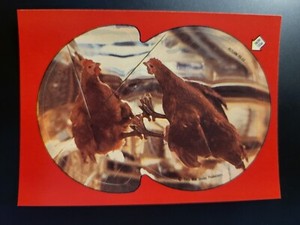  1985 Topps Return To Oz Dorothy Chickens STICKER card #13