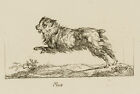 C. GEBAUER (1777-1831), Maks. Skaczący pies, 1800, akwaforta romantyczna