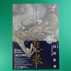 Maruyama Okyo 2003 Special Exhibition Chirashi A4 Osaka Japan Shaseiga Challengi - Picture 1 of 2